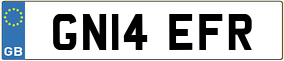 Truck License Plate